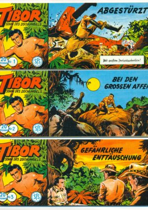 Tibor Piccolos 1 - 187 komplett Hethke